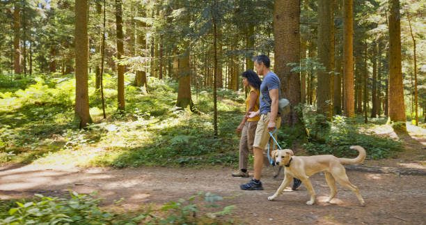 Side view of a couple talking while hiking with their dog in the forest on a sunny day.
