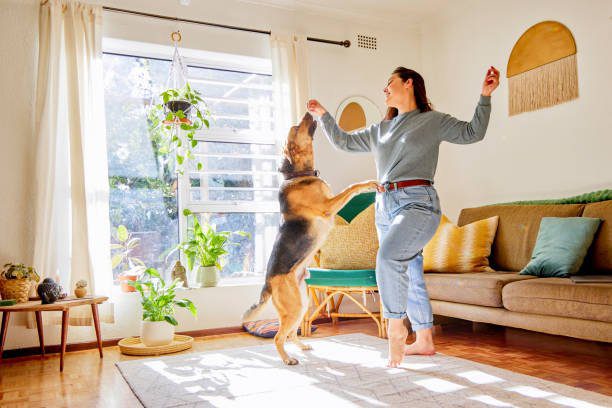 in this image, A girl is playing with her dog at home