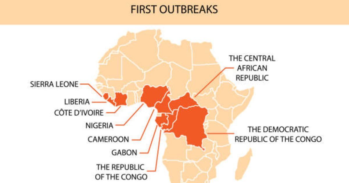 Monkeypox virus infographic. African map of first outbreaks. New outbreak cases in Europe and USA. Vector cartoon isolated illustration.