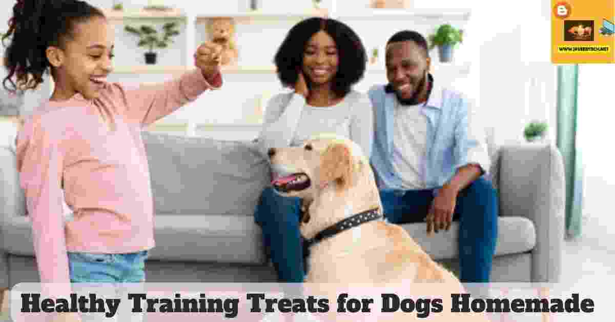 Healthy Training Treats for Dogs homemade-Dog Training Commands. Happy black girl teaching pet at home in living room, playing with golden retriever and rewarding him with treats, standing indoors giving animal food, parents sitting on sofa