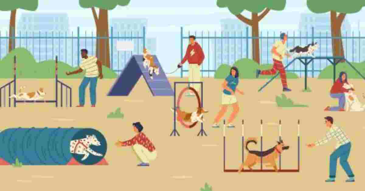 Healthy Training Treats for Dogs Homemade-People training their dogs on agility field flat vector illustration. Different people with different dogs on playground.